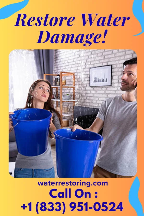 water restoration Royal Mitigation Specialists Watertown