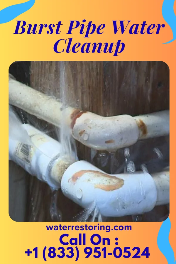 Burst Pipe Water Cleanup in Watertown, NY