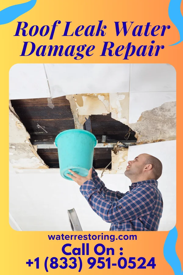 Roof Leak Water Damage Repair in Watertown, NY